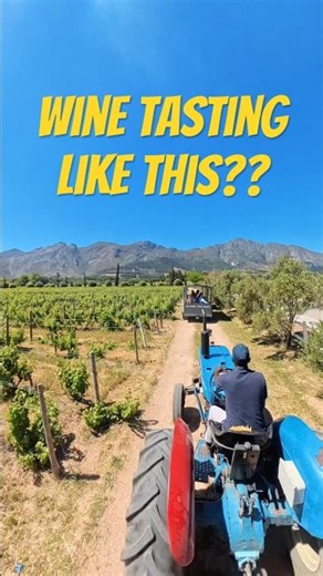 Super Fun Wine Tram in South Africa #franschhoekwinetram #wine #winetasting