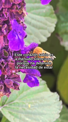 Cuando la incertidumbre no cesa | Éxodo 6:12 #shorts