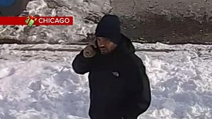 Serial Package Thief Caught on Camera