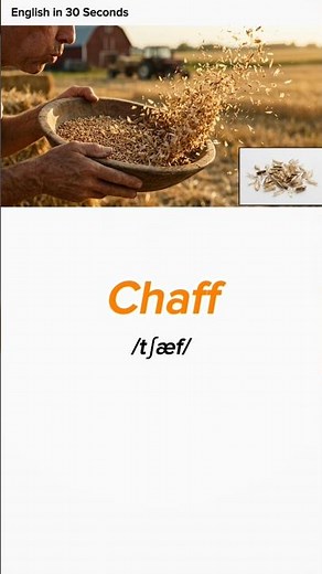 Chaff vs. Grain: Stop calling them just "Seeds" or "Skins"!