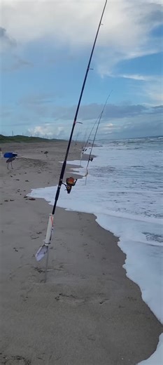 Bluefish strike and setup in rainy conditions, tight lines!