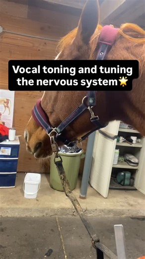 Brenda Banning on Instagram: "This morning I offered vocal toning and 174 hz to support her nervous system. She had a beautiful release with yawns, licks and a downward dog stretch! Thank you @eileenmckusick of Biofield Tuning for all your teachings❤️🙏#brendabanningfitnessandtherapy #biofieldtuning #soundhealing #biofieldtuningpractitioner #soundhealingforhorses #tuninghorses #singthebodyelectric"