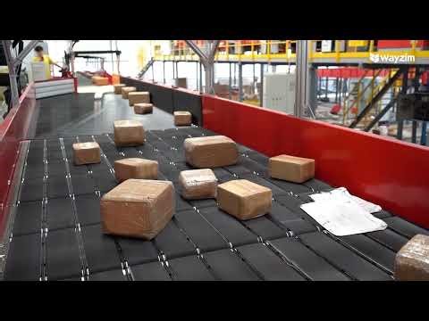Singulator System by Wayzim - 10000 parcel /hour with 2D Bulk Flow