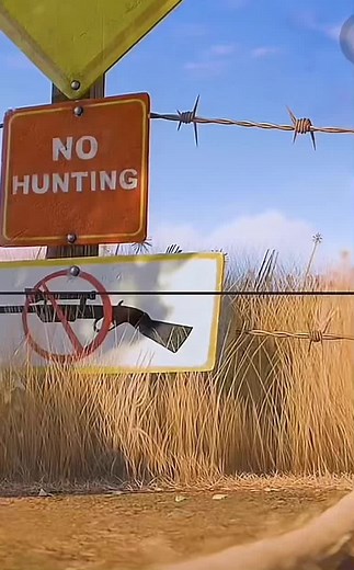 Exploring Madagascar's Animated Penguins and Lions