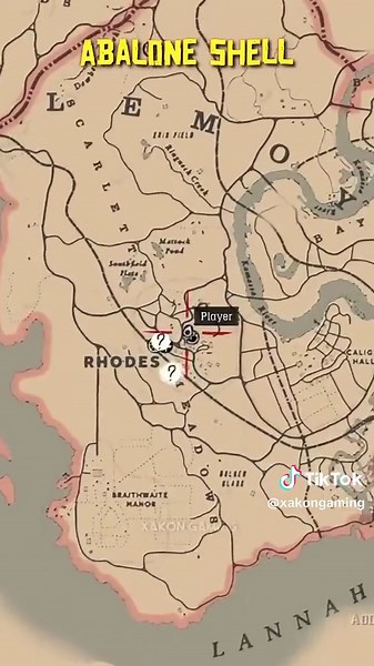 Discover the 4 Rarest Item Locations in RDR2