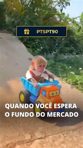 Promo "PTSPT90" Você Está Fazendo o Mesmo ERRO que o Macaco ao Investir?