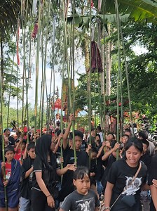Mapalao Puang Albertus Toding dari Tongkonan Lempangan ke RanteTongkonan