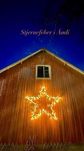 4.6K views · 144 reactions | Stjernefeber i Åmli ✨ Kanskje du også...