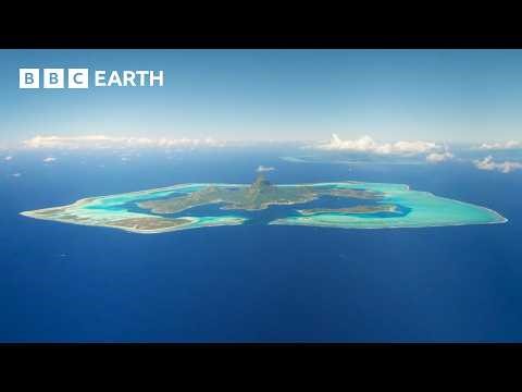 The Hidden Worlds of the South Pacific Islands | BBC Earth