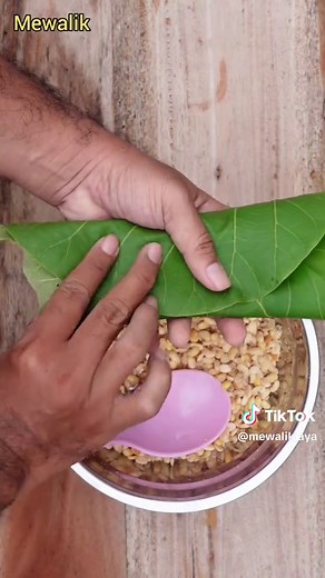 Cara Membuat Ragi Tempe Sendiri di Rumah