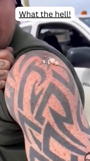 New Hope New Goal 2K25 💕💕 | B & D Show Pigs