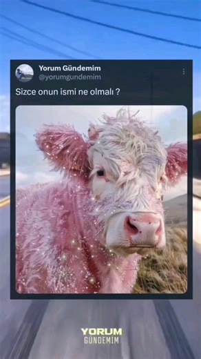 Yorum Gündemim on Instagram: "Yazın yorumlara"