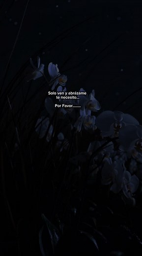 Frases tristes sobre la ansiedad y el desamor