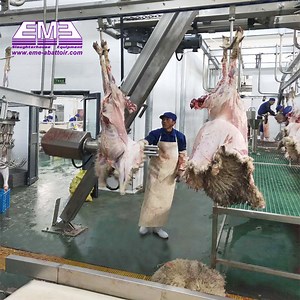 [Hot Item] Slaughterhouse Sheep Goat Mutton Slaughtering Equipment of Meat Processing Line Machine