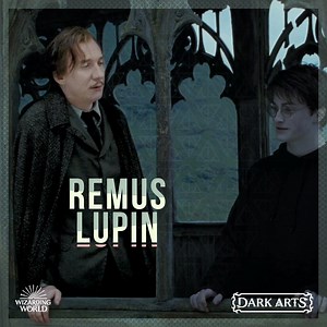 108K views · 3.6K reactions | By day a gentle-hearted mentor; by night he packs a nasty bite. #DarkArtsMonth | Harry Potter | Facebook