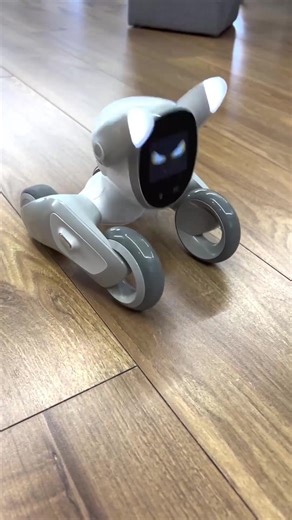 Adorable Loona: A Peek Into the World of Tech and Robotics