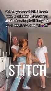 The Sheriff can hang it up they will never see that dog again! #policedog #k9unit #whitewomen #dogs #funny #reels #comedy #k9unit #reelsfb #facts credit @jddelay | Bestfetchdog Jay Lett
