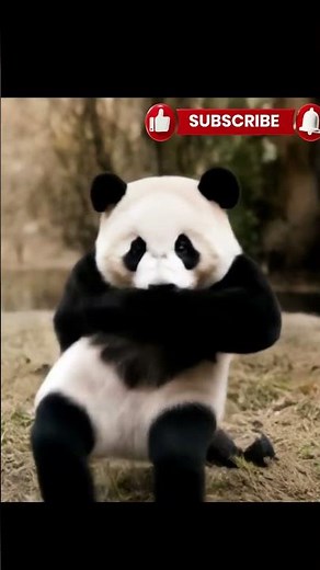🐼✨ Dancing Panda | Graceful Moves That Will Melt Your Heart 💃🕺