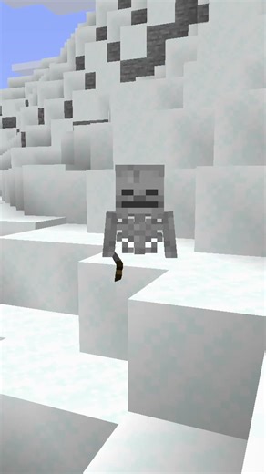 INSANE Minecraft Skeleton Facts! #minecraft #survival