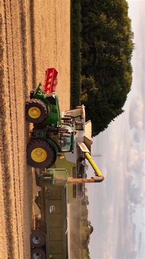 Harvesting Barley: Insights from UK Farming
