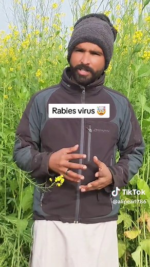 Understanding Rabies Virus: Awareness and Prevention