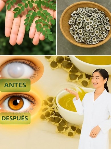 12 Beneficios de las Semillas de Moringa que Nunca Oirás de tu Médico (Pero que Deberías Conocer) 🌿✨ Para seguir recibiendo mis recetas, solo debes decir algo… ¡Gracias! #fblifestyle | La Piruja