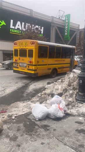 Consolidated Bus Transit 2019 Chevy Collins NexBus DE516WR Handi School Bus #80152