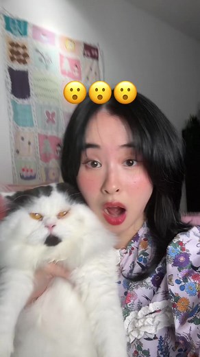 Strangers Kissing Cats: My Shocking Experience with a Furniture Moving Company