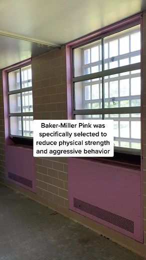 The Color Theory of Asylums Explained