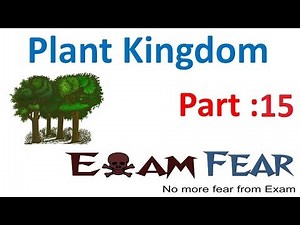 Pteridophyta: life cycle, ferns vs moss, sub classification Video Lecture - NEET