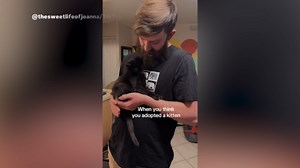 Couple Adopts Kitten, Unprepared For What She Becomes