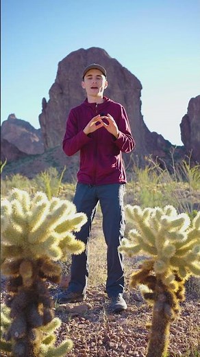 What is a Smart Object in Photoshop?