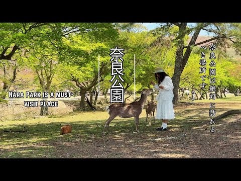 🦌一生に一度は行きたい場所｜奈良公園Vlog｜鹿とふれあい＆絶景を巡る旅【奈良観光2025】#奈良Vlog #春の旅行 #絶景スポット #人気観光地 #osmopocket3