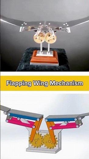 Flapping Wing Mechanism Animation | Mechanical Engineering Concept #Shorts