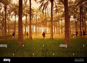 NO FILM, NO VIDEO, NO TV, NO DOCUMENTARY - Marines from Echo Company, 2nd Battalion 4th Marines patrol along the Euphrates River near Ramadi, Iraq, on April 4, 2004. Photo by David Swanson/Philadelphia Inquirer/KRT/ABACA Stock Photo - Alamy