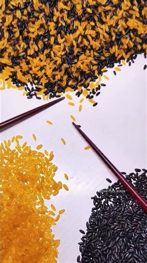 Manual Grain Sorting: Precision Chopstick Sorting Separates Colored Rice