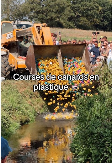 Première course de canards en plastique race à White Notley.. c’était une expérience 😂🦆 Une course un peu folle, pour soutenir une belle association 💛 On n’a pas gagné les £50, mais au moins on n’a pas fini derniers 😅 ##canard##canardenplastique##angleterre##londres##enceinte