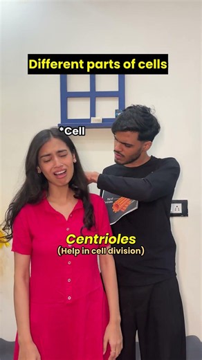 Different parts of cells and it’s functions