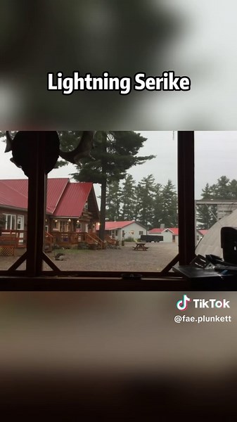 Impactantes rayos que destruyen árboles 🌲