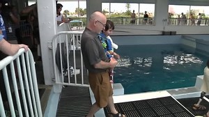 102K views · 7K reactions | A must watch: Once conjoined twins meeting their hero Winter the dolphin for the first time last April. #TBT | Winter the Dolphin | Facebook