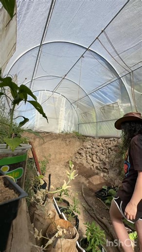 Welcome to our underground greenhouse! My husband and i hand dug this 10’x20’ walipini over the last year years. This year were adding a rock wall to keep everything in place. Half the wall is done so we prepped the garden bed & planted some tomatoes! Stay tuned for more greenhouse fun 🌿 . . . . #wildwithnature #undergroundgreenhouse #greenhouse #coloradogardening #walipini