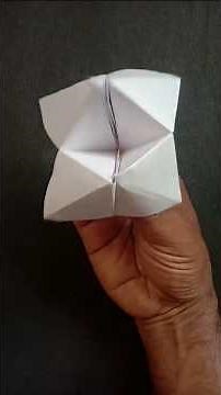 Origami Fortune Teller Game | DIY fortune teller