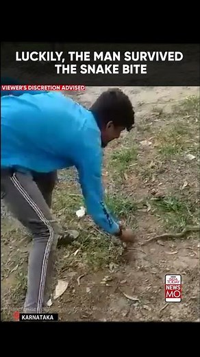 Man Tries To Kiss King Cobra On Head, Gets Bit On The Lip