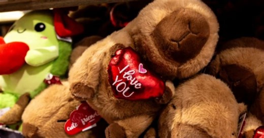 Dating and romance advice ahead of Valentine's Day