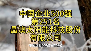 中国企业500强，第251名，晶澳太阳能科技股份有限公司。