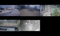 Mix of 6 videos from youtube : Melbourne Zoo Live Cameras