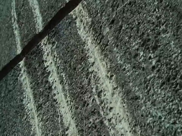 Indominus Rex Eating Sibling Scene from Jurassic World