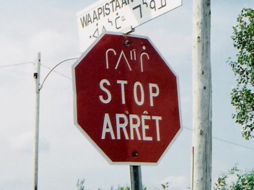 'Language Death: A Problem for All' By David Crystal