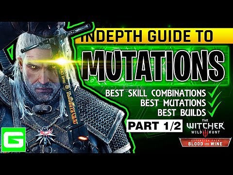 The Witcher 3 Blood & Wine New Mutation Skill System Full Explanation Build Guide Tutorial PART 1/2