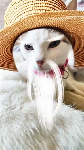 La Tita lompe colazones 😂🙏🏽